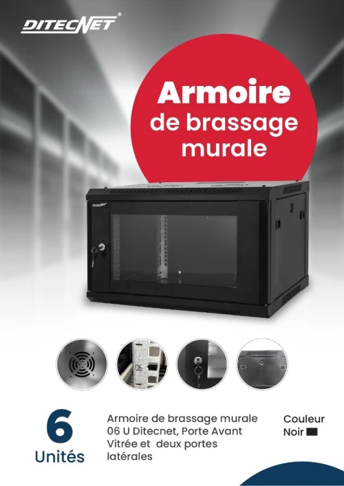 Armoire de brassage Murale 6U DITECNET