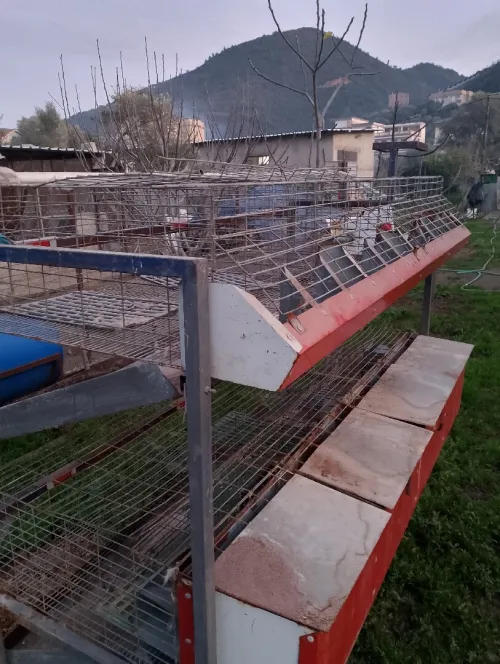 Cage pour lapin