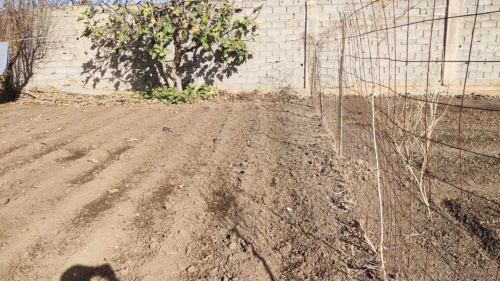 Vente Terrain Tipaza Bourkika