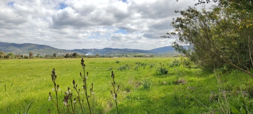 Vente Terrain Agricole Jijel El milia