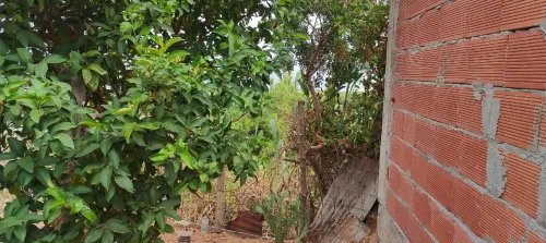 Vente Terrain Jijel Sidi abdelaziz