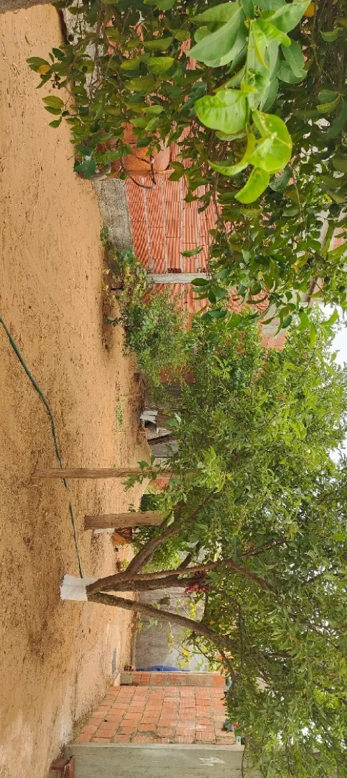 Vente Terrain Jijel Sidi abdelaziz
