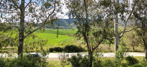 Vente Terrain Agricole Jijel El milia