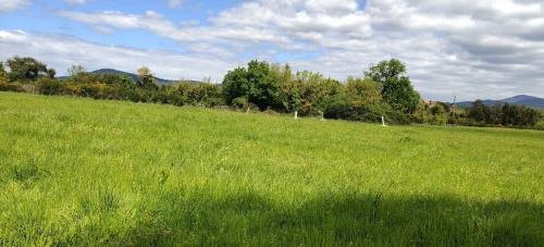 Vente Terrain Agricole Jijel El milia