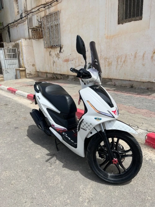 Vms Coral 2024