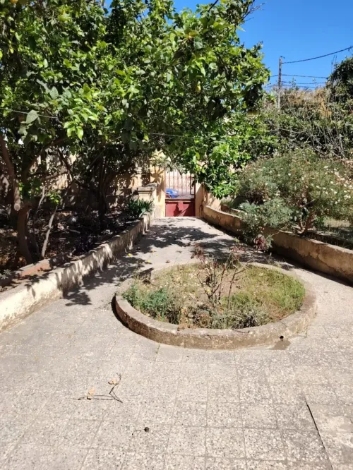 Vente Terrain Tipaza Cherchell