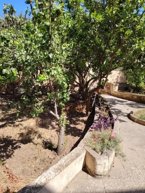 Vente Terrain Tipaza Cherchell
