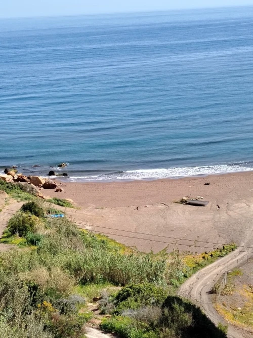 Vente Terrain Tipaza Larhat