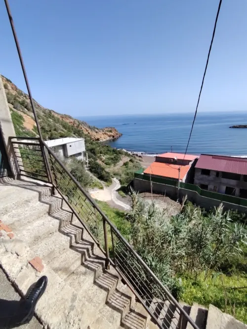 Vente Terrain Tipaza Larhat