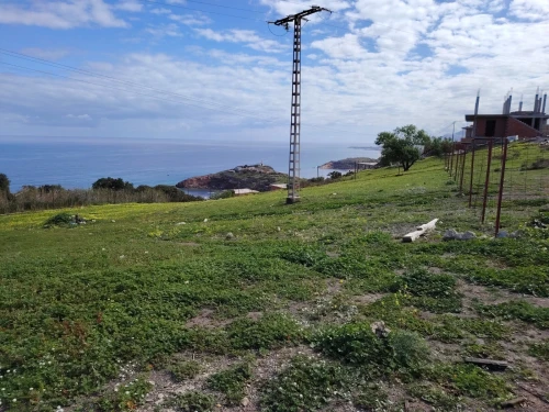 Vente Terrain Tipaza Gouraya