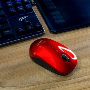 Souris sans Fil Havit 