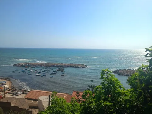 Vente Appartement F2 F3 F4 Alger Kouba