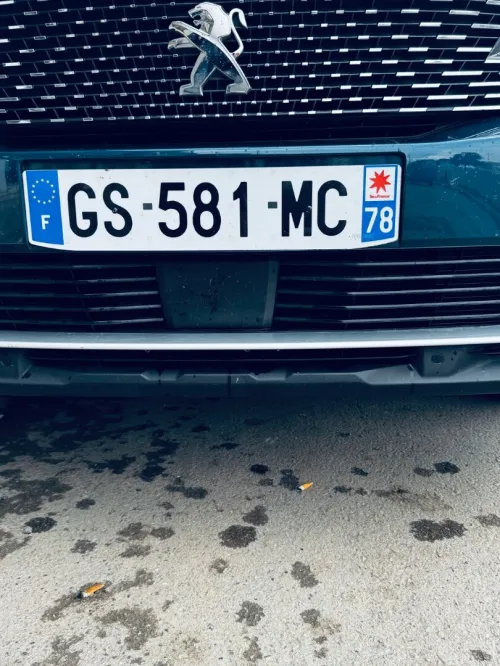 Peugeot 3008 2023 GT 6