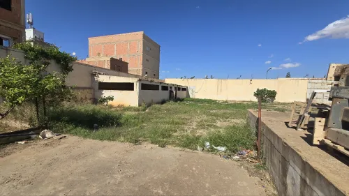 Location Hangar Relizane Relizane