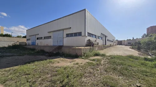 Location Hangar Relizane Relizane