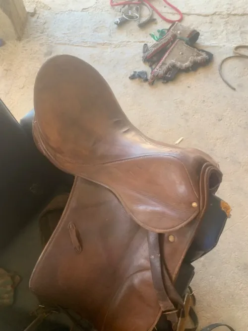 سرج الحصان selle de cheval 