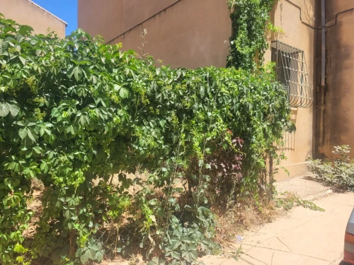 Vente Appartement F3 Tipaza Hadjout