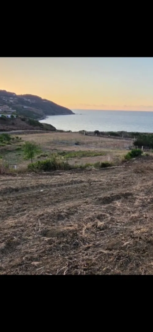 Vente Terrain Tizi Ouzou Azeffoun