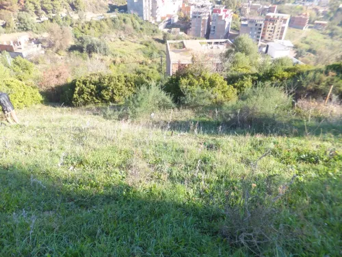 Vente Terrain Béjaïa Bejaia