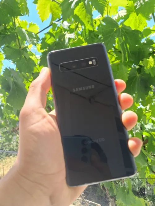 Samsung S10
