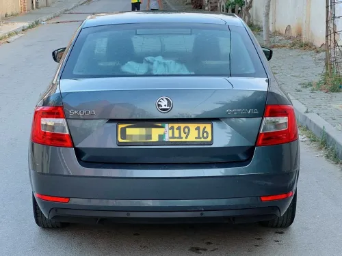 Skoda Octavia 2019 Business