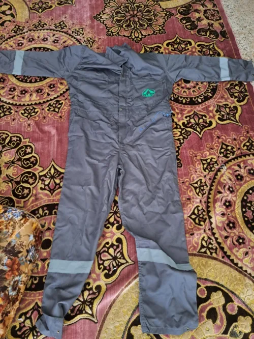 ولاية المغير