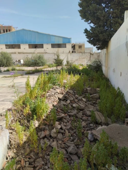 Vente Terrain Alger Bab ezzouar