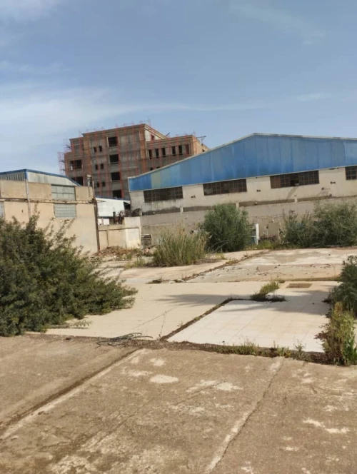 Vente Terrain Alger Bab ezzouar