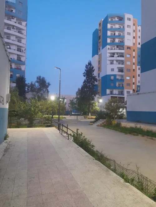 Location Local Alger Les eucalyptus