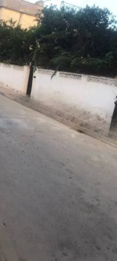 Vente Villa Alger Bab ezzouar
