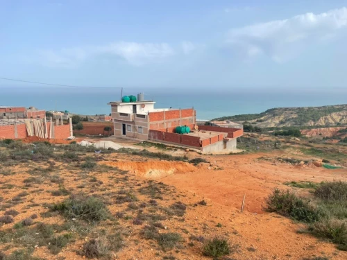 Vente Terrain Tlemcen Msirda fouaga