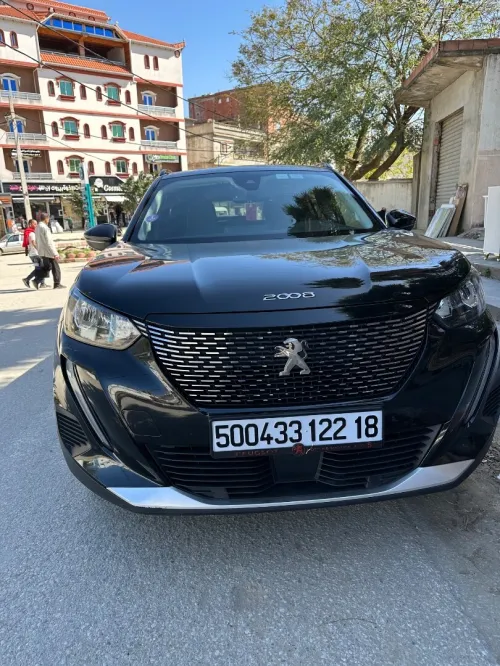 Peugeot 2008 2022 Erg