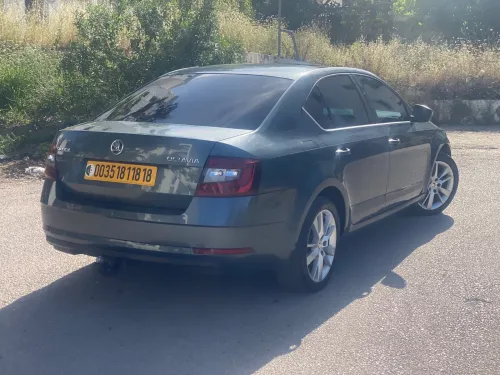 Skoda octavia Octavia 2018 Cleaver