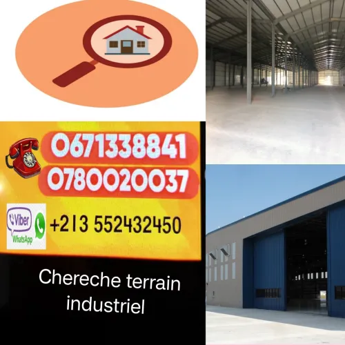 Cherche achat Terrain Mascara Mascara