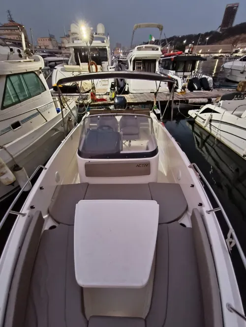 Quicksilver 755 active