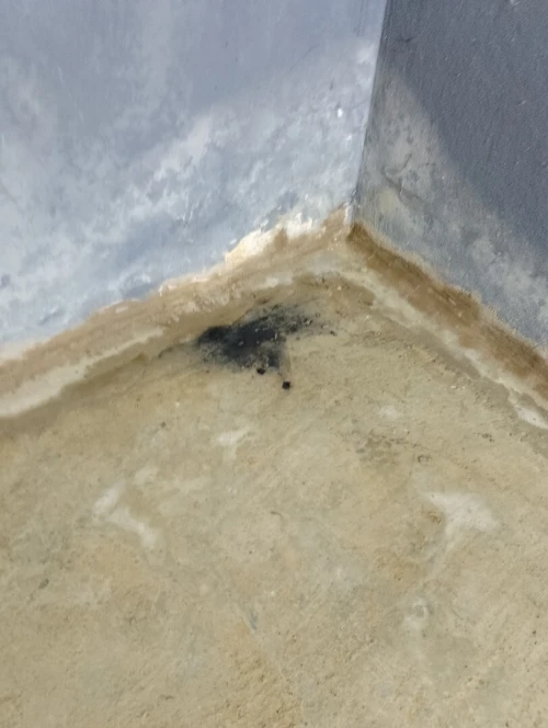 Recherche fuite eau et terrasse