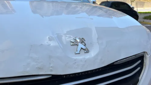 Peugeot 301 2013 301