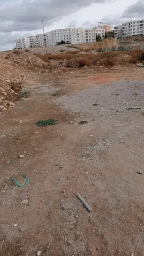Vente Terrain Tlemcen Mansourah
