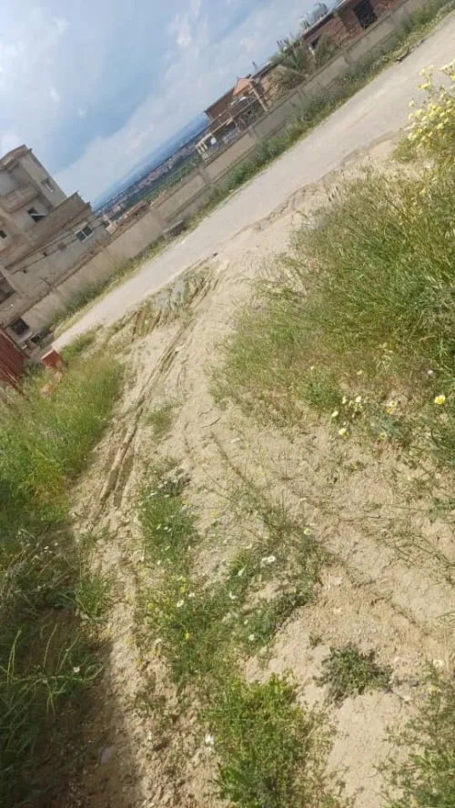 Vente Terrain Blida Larbaa
