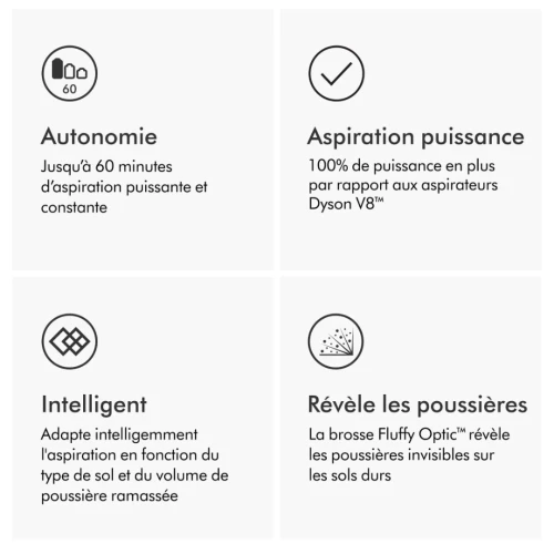 Aspirateur Balai Sans Fil Dyson V15 Detect Absolute