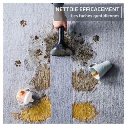 Nettoyeur Détacheur Rowenta Clean It IN5011F0