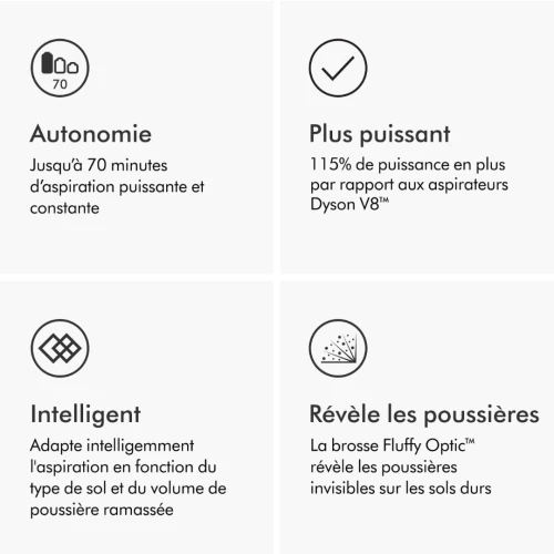 Aspirateur Balai Dyson Gen5 Detect Absolute 
