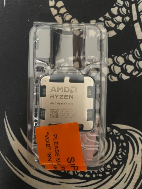 R5 9600