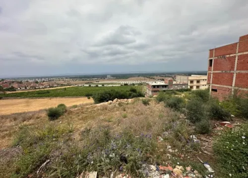 Vente Terrain Blida El affroun