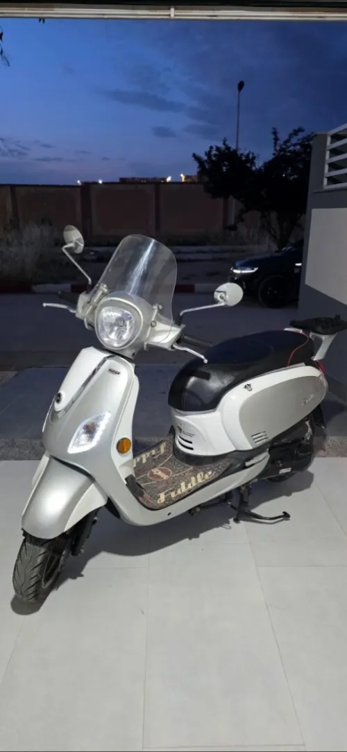 Sim Fidal 3 2020