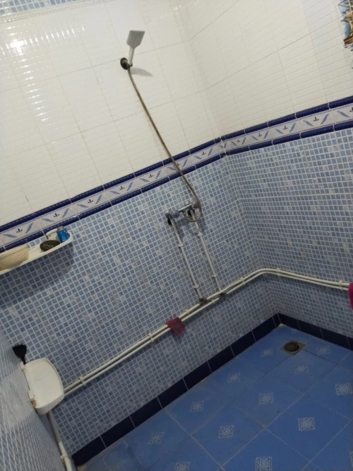 Vente Appartement Niveau de villa F2 Blida Mouzaia