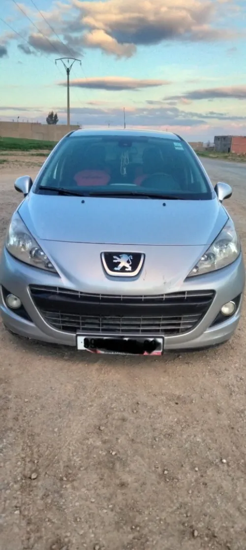 Peugeot 207 SW 2011 207 SW