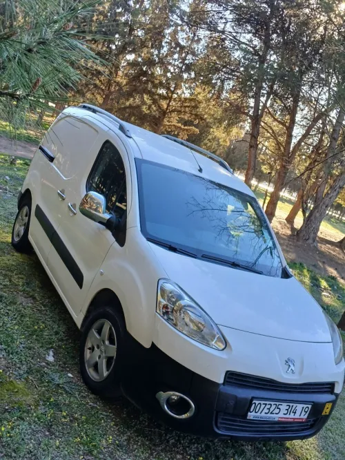 Peugeot Partner 2014 Partner