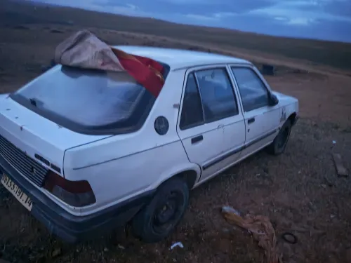 بيجو جونيوور 1991 