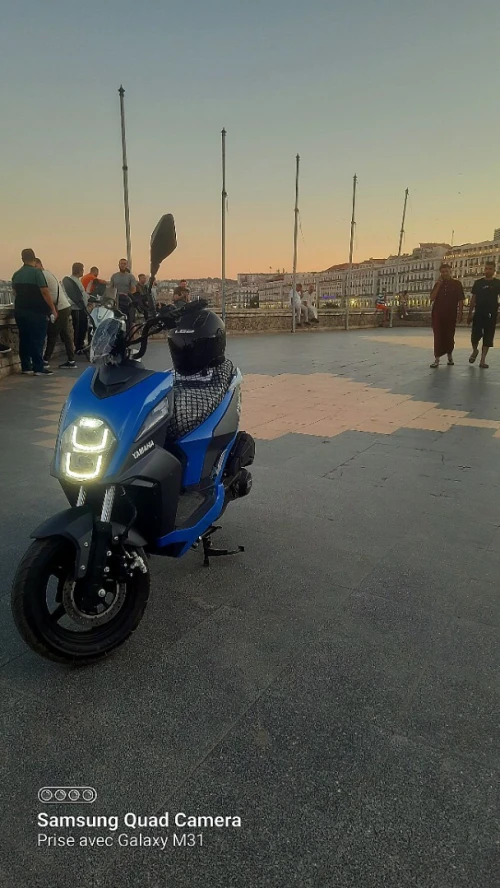 Lifane frascoli lifane frascoli 150 cc 2024